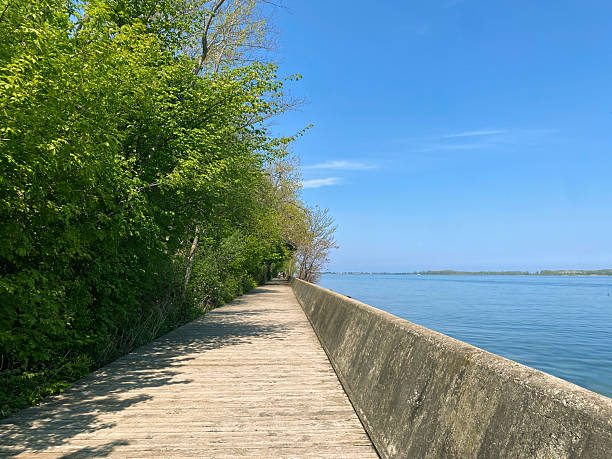 istock Wooden Boardwalk by Lake with Green Trees 2241004098