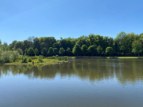 istock Calm Lake with Trees Reflected on Water 2241004153