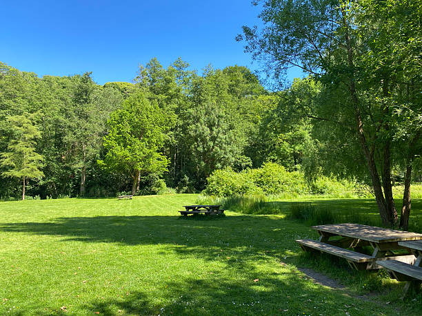 istock Sunny Park with Picnic Tables and Green Lawn 2241004203