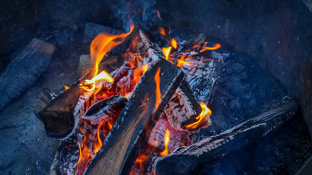 Flames dance among burning logs in a cozy campfire, creating warmth and ambiance in a rustic outdoor setting with glowing embers