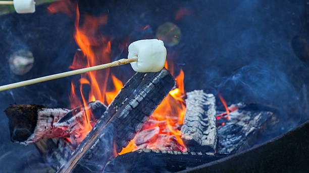 istock Marshmallow roasting on a stick over a vibrant campfire, surrounded by glowing embers and logs, capturing the essence of outdoor culinary enjoyment 2241005024