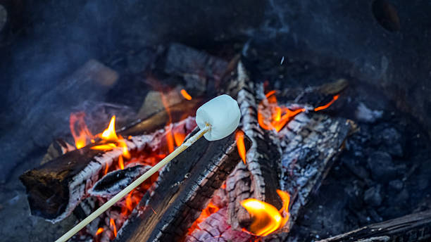 istock Marshmallow roasting on a stick over a vibrant campfire, surrounded by glowing embers and logs, capturing the joy of outdoor cooking experience 2241005025