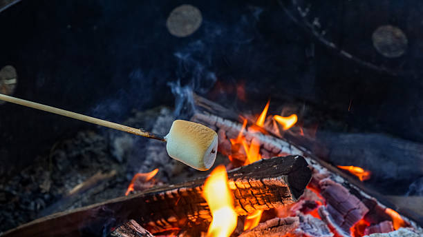 istock Marshmallow on a stick is being roasted over a campfire, surrounded by glowing embers and crackling flames, creating a cozy outdoor atmosphere 2241005035