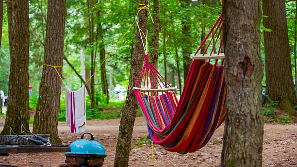 Vibrant hammock suspended between trees in a peaceful forest, surrounded by nature, offering a perfect spot for relaxation and leisure activities