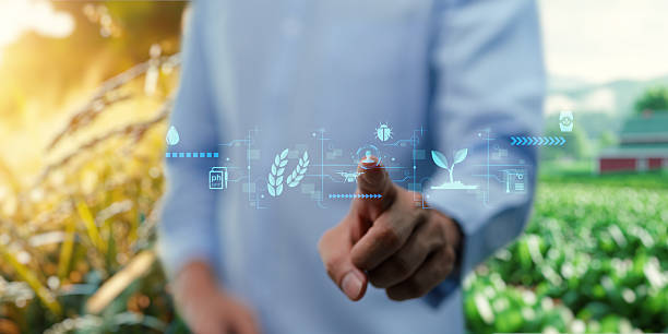 istock UI hologram agriculture and modern technology Farmer using smart farming technologies using AI 2241006693
