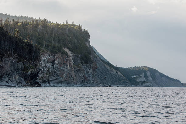 istock Dramatic Coastal Cliffs Over Calm Sea With Forested Ridge And Cloudy Sky 2241008641