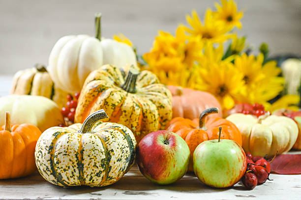istock colorful ripe pumpkins 2241008690