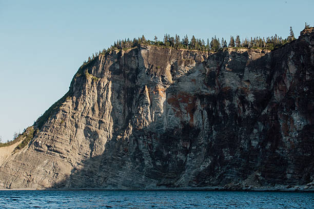 istock Steep Cliff Over Calm Blue Sea With Pine Trees Along Shore Under Clear Sky 2241008885