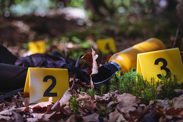 istock Crime scene: yellow water bottle and black backpack on the forest ground. 2241009224