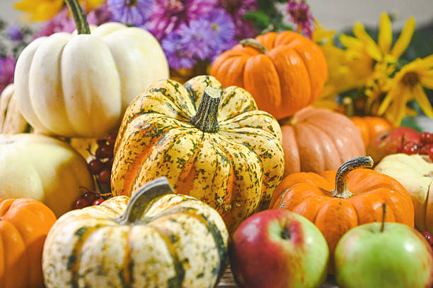 colorful ripe pumpkins