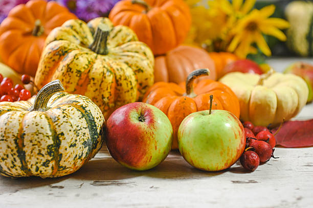 colorful ripe pumpkins