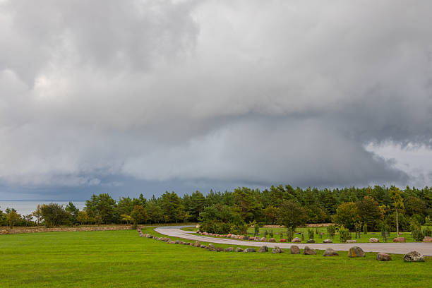 A winding road leads through a green field toward a forest under dark rain clouds, Saaremaa, Estonia.