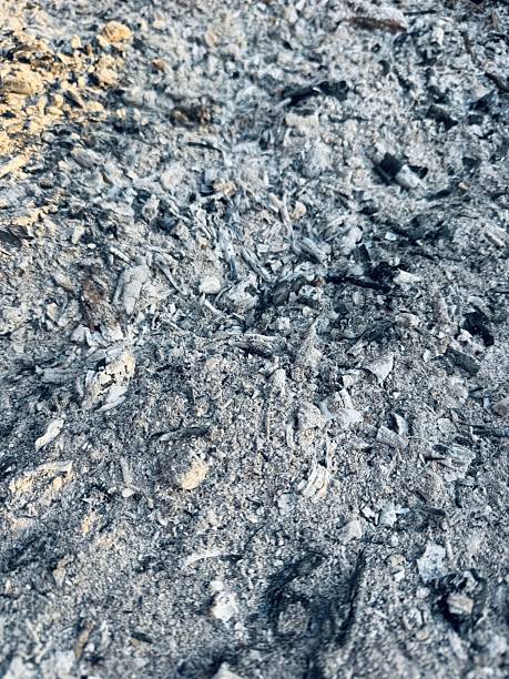istock Charred Ashes and Wood Debris – Close-Up of Fire Aftermath in Natural Setting. 2241011249
