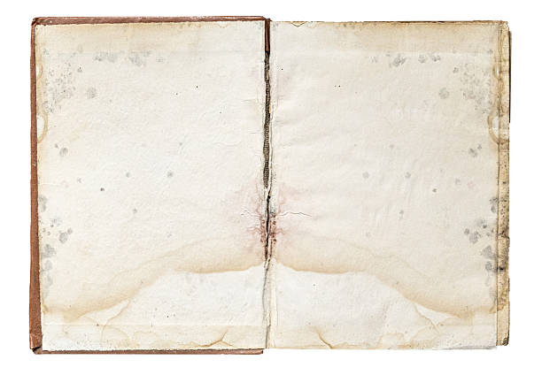 istock Open aged vintage book pages transparent background 2241011475