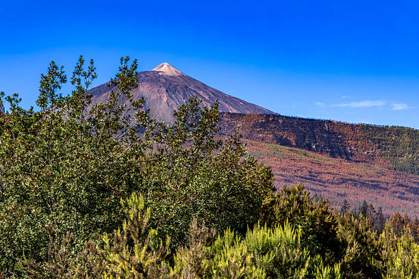istock Mount Teide Volcano, Tenerife, Canary Islands, Spain 2241011814