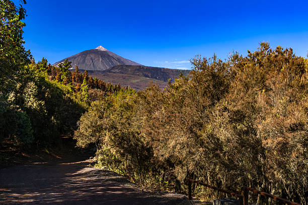 istock Mount Teide Volcano, Tenerife, Canary Islands, Spain 2241012049