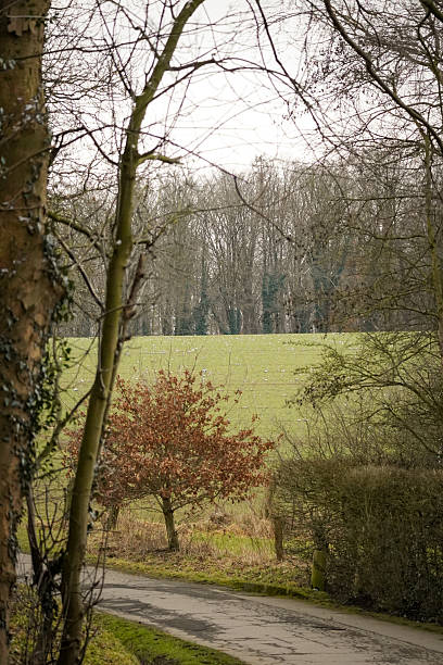 istock Landscape view of green grass field 2241012073