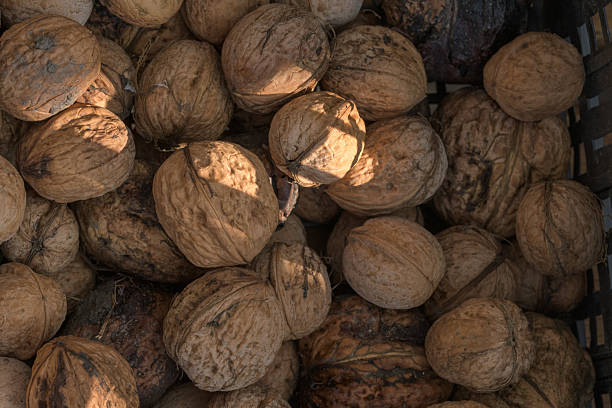 This close-up photograph shows a large pile of walnuts in their shells, offering a textured and natural feel. The image captures the brown tones and detailed textures of the nuts, creating a sense of abundance and organic goodness. Ideal for food-related content, autumn themes, or natural product promotions.