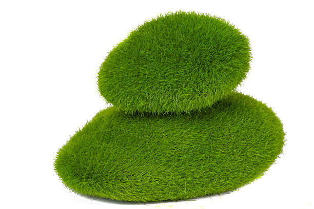 istock Green stones with moss isolated 2241021662