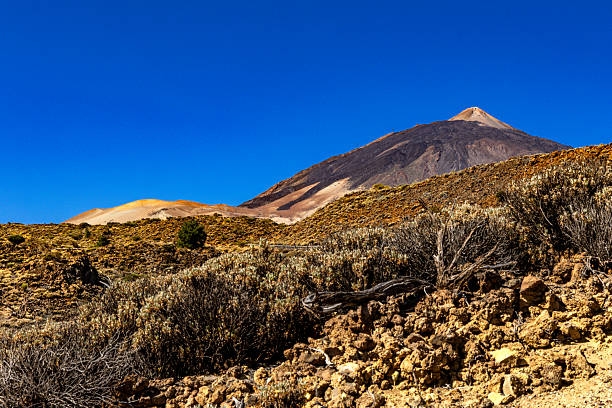 istock Mount Teide Volcano, Tenerife, Canary Islands, Spain 2241023698