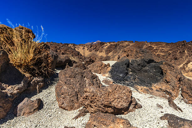 Beautiful view of Mount Teide volcano on Tenerife, Canary Islands, Spain. Majestic volcanic peak rising above green forests under a clear blue sky. Nature, travel, and adventure landscape concept.