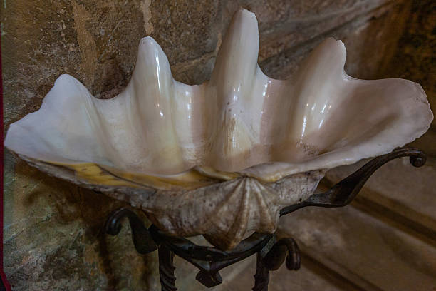 A large, iridescent clamshell mounted on an ornate iron stand rests against a rustic stone wall, its glossy interior catching the light