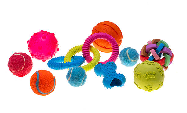 istock Dog toys isolated 2241027342