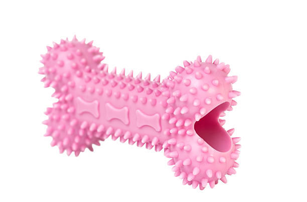 istock Dog toys isolated 2241027576