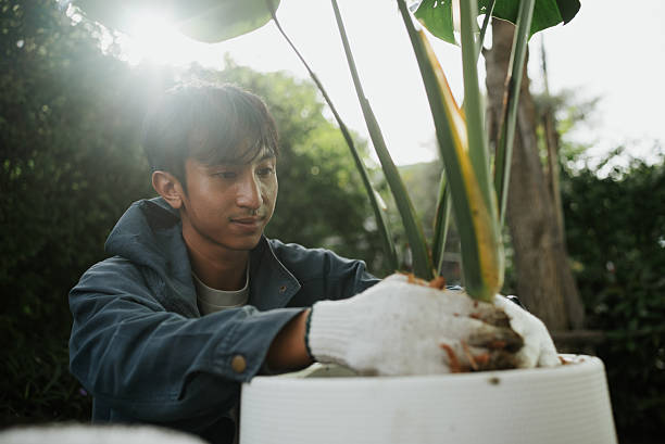 istock Man planting at home. 2241028040