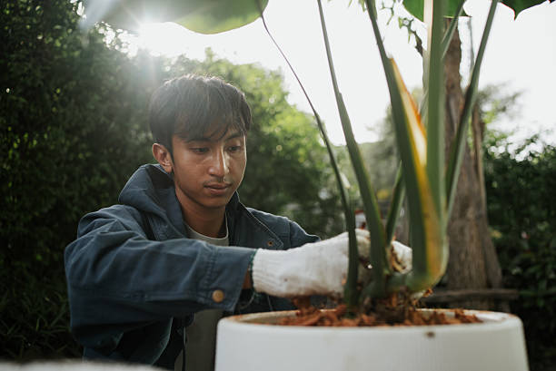 istock Man planting at home. 2241028056