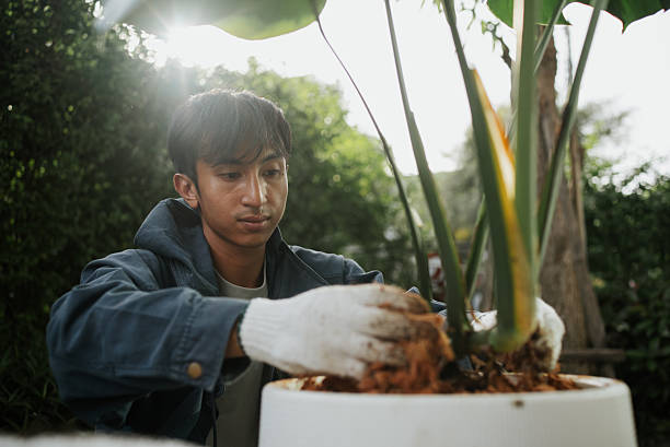 istock Man planting at home. 2241028076