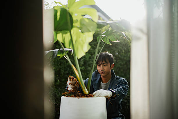 istock Man planting at home. 2241028077