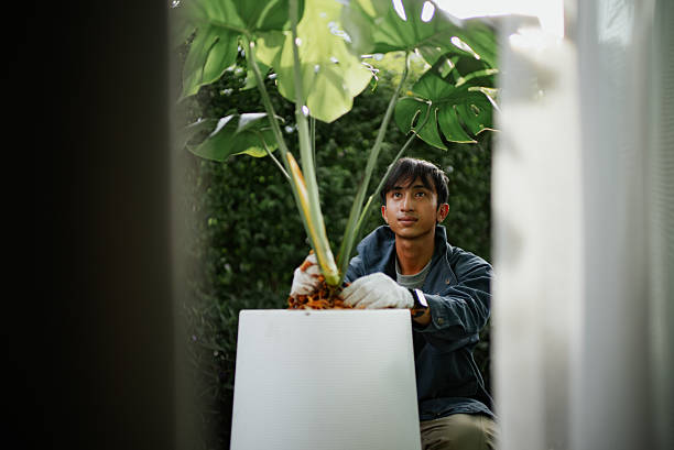 istock Man planting at home. 2241028109