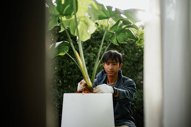 Man planting at home.