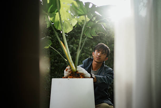 istock Man planting at home. 2241028138