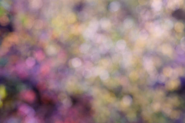 istock Abstract colored background. Leaves of trees in the forest. 2241030396