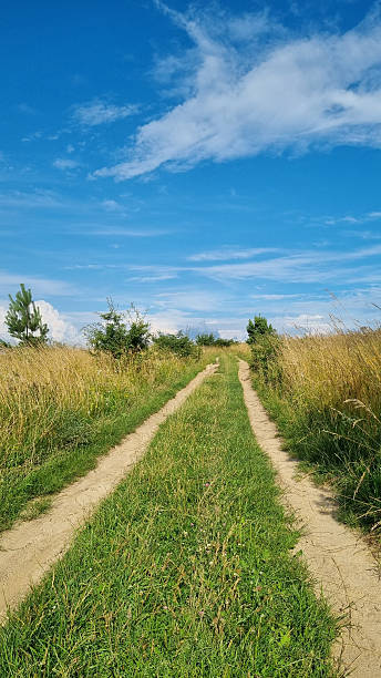 istock Dirt Road Through Grassy Fields on Sunny Day 2241032470