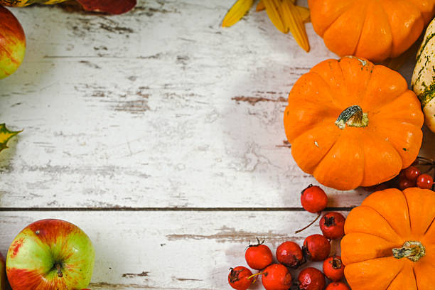colorful ripe pumpkins