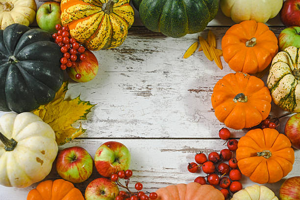 istock colorful ripe pumpkins 2241036677