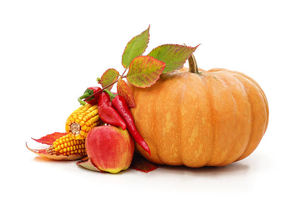 Colorful autumn composition with a yellow pumpkin, red apple, cobs of corn and two chili peppers on a background of bright red and orange leaves. Seasonal still life representing fall harvest, healthy food, and organic farming.