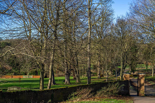 istock Winter view in Bridge End Gardens on a sunny day 2241041238
