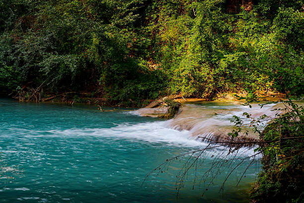 Gently cascading turquoise waterfall flows into a clear river, framed by dense green forest in sunlight.