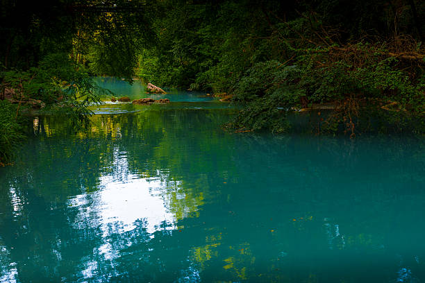 Calm turquoise river reflects lush green forest, creating a serene and peaceful natural scene.