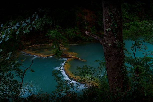 Turquoise mountain river flows past tree and rocky cascades, surrounded by wild, lush forest landscape.