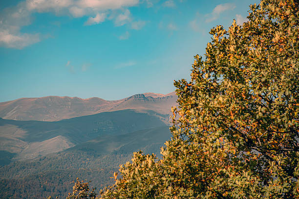 Autumn in the forest and  mountains