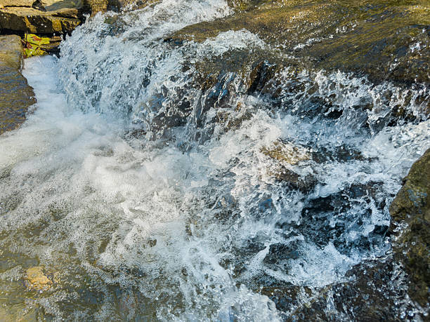 Rushing Water of Tanyard Creek
