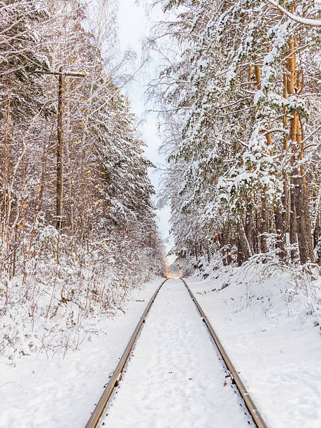 istock Old railway in winter forest. Railway in snow. Winter landscape with empty rail tracks 2241058074