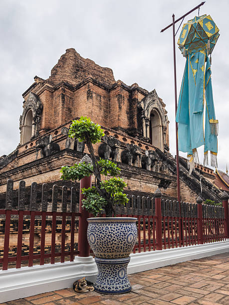 istock Ancient Wat Chedi Luang in Chiang Mai, Thailand, stands majestically under a cloudy sky. A traditional Lanna lantern, ornate ceramic pot with a tree, and a resting cat complete this serene cultural 2241059541