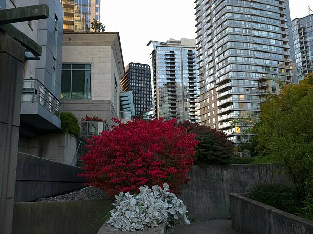 Full frame view of potted plants on building