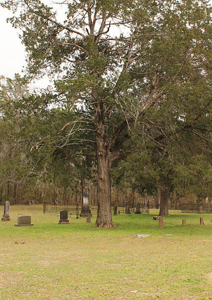 Historic Cemetery in Rural East Texas. Flint TX